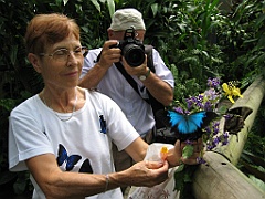 005 Butterfly Sanctuary